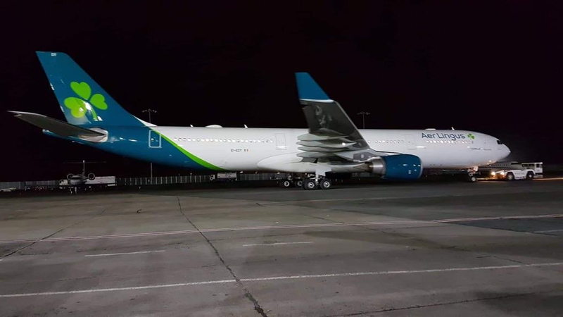 Illustration for article titled Aer Lingus gets fresh livery